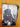 Seagate SV35.5 (ST3500410SV) 500GB, 7200RPM, 3.5" Internal Hard Drive - Anand International Inc.